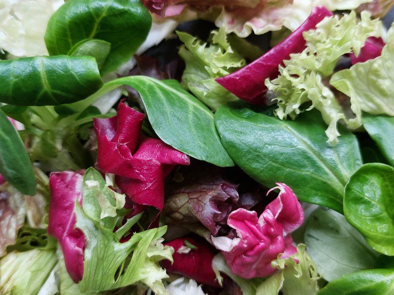 Lettuce quality